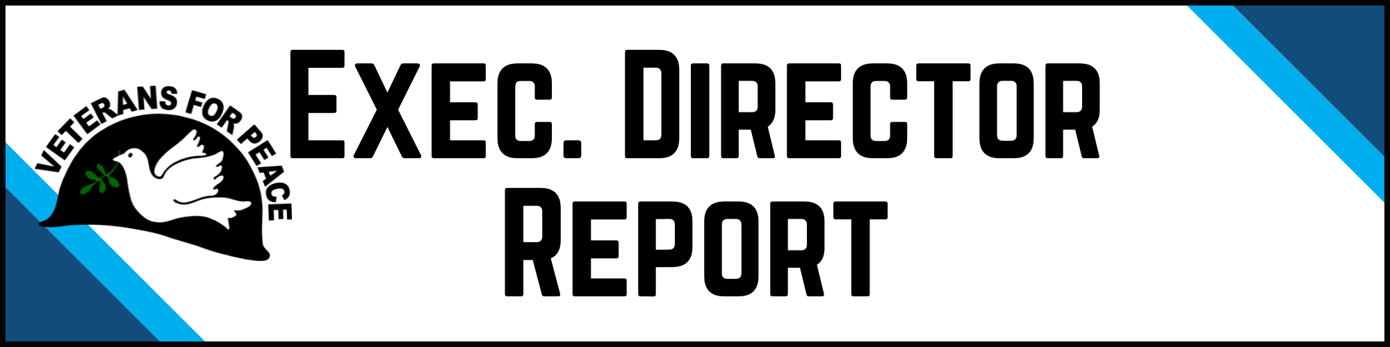 Executive Directors Report