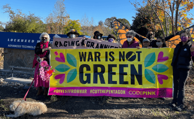 CodePink Protest with War is not Green sign