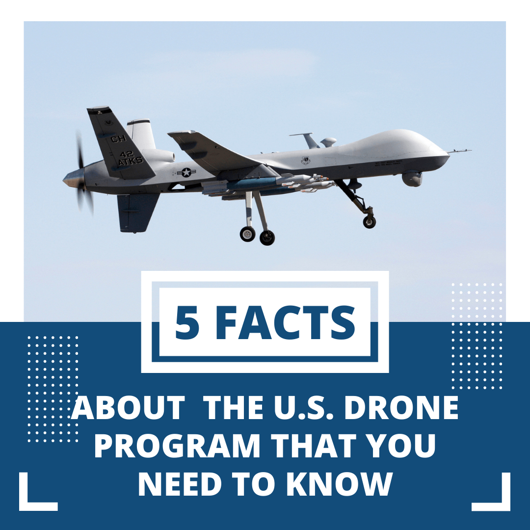 Image: 5 Facts about Drones