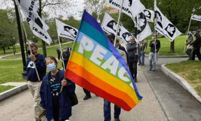 Image of Chapter 9 Marching with Flags