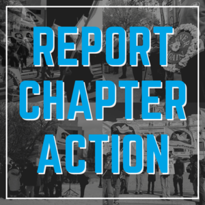 Report a Chapter Action!